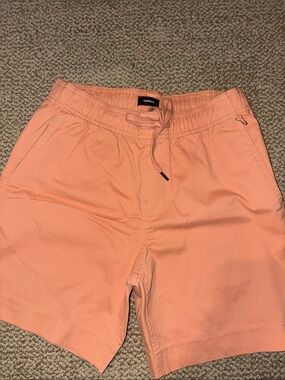 Express Men's Peach Drawstring Shorts